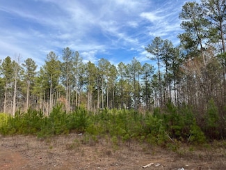 0 Bishop Ridge, West Blocton, AL 35184