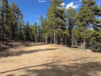 004 Pewabic Mine Rd Unit N006791, Central City, CO 80452