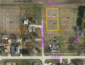 Lot 1 & 2 Block 6 N Chamberlain St, Gilman, IL 60938