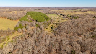 000 Timbercrest Rd, Viola, AR 72583