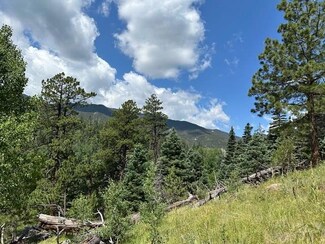 TBD Westcliffe Dr, Rye, CO 81069