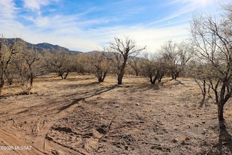 137 Three R Ave Unit A, Patagonia, AZ 85624