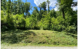 0 Spindrift Ct Lot 126, Ellijay, GA 30540