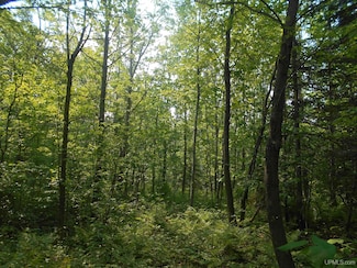 TBD Oikarinen Rd, Hancock, MI 49913