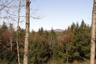 Lot 10a/b Garden Loop Rd Unit 10a, 10b, 11, Winhall, VT 05340