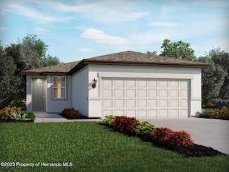 7472 Mia Vine Dr, Brooksville, FL 34601