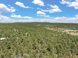 51 Bobolink Ln, Ponderosa Pine, NM 87059