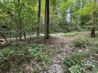 0 Laurel Spring Dr Unit 26041188, Bryson City, NC 28713
