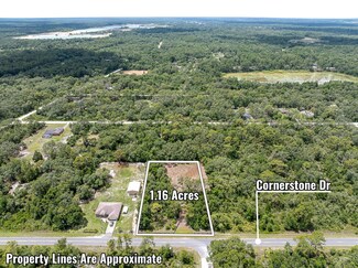 35224 Cornerstone Dr, Ridge Manor, FL 33597