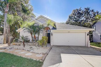 4635 Hidden Shadow Dr, Tampa, FL 33614