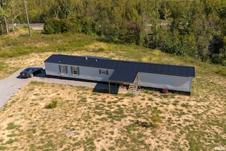 9200 Charlie Birger Ln, Marion, IL 62959