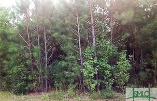 0 Clyo Kildare (2) Rd Unit 236209, Clyo, GA 31303