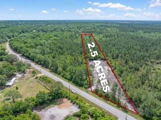 TBD Hickory Hammock Rd, Milton, FL 32583