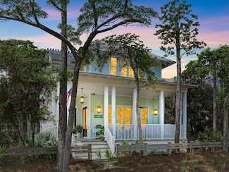 294 Spartina Cir, Santa Rosa Beach, FL 32459
