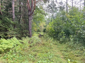 40 AC ON Margaret Lake Rd, Piehl, WI 54562