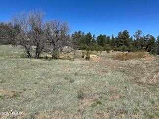 1301 S Lakeside Trail Unit 33, Show Low, AZ 85901
