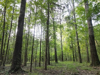 2435 Hwy 43, Canton, MS 39046