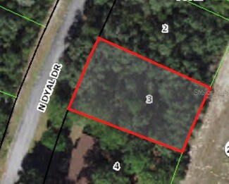 10195 N Dyal Dr, Citrus Springs, FL 34434