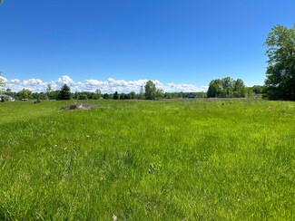 0 Baldwin Rd, Bridgman, MI 49106
