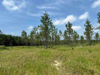 0 Grant 9 (Tract D & E) Unit Tract D & E on Surve, Sheridan, AR 72150
