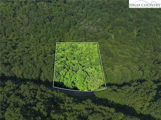 303 Locust Ridge Rd, Beech Mountain, NC 28604