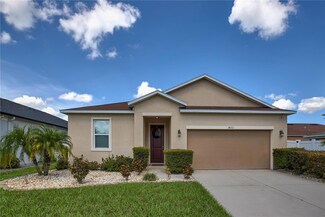 14311 Romeo Blvd, Wimauma, FL 33598