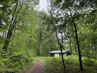 5220 Park Dr, Six Lakes, MI 48886