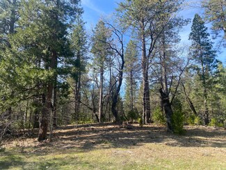 000 Arrow Point Dr, Oak Run, CA 96069