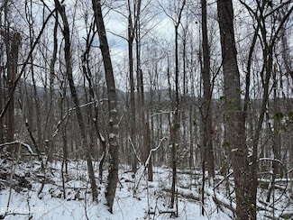 0 Christian (Lot 1) Way, Newport, TN 37821