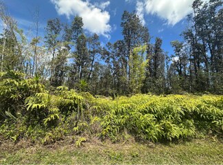 0 Road 5 (Uau) Unit 722283, Mountain View, HI 96760