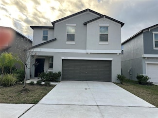 5254 White Chicory Dr, Apollo Beach, FL 33572