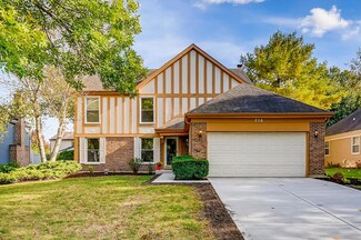 216 Split Oak Rd, Naperville, IL 60565