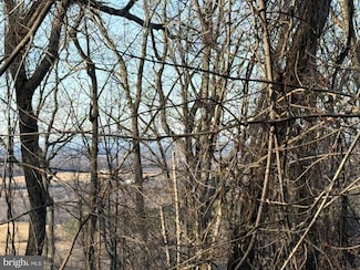 Lot 92 Donna Ct, Shenandoah Farms, VA 22630