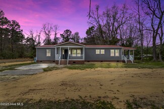 234 Bullard Rd, Chadbourn, NC 28431