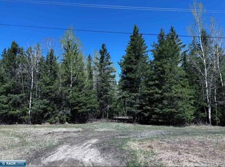 TBD Town Road 286, International Falls, MN 56649