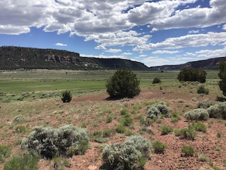 Lot D Timberlake Rd, Ramah, NM 87321