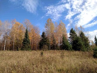 11506 N County Road F, Phillips, WI 54555