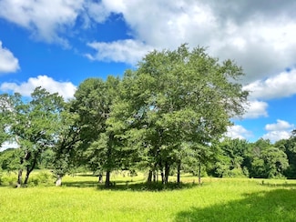 60 acres Cr 1080, Fairfield, TX 75840