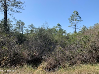 Lot 149 Bermuda Rd, Boiling Spring Lakes, NC 28461