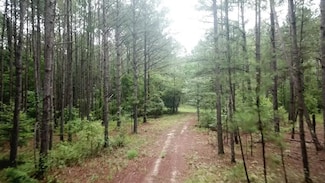 3490 Tidwell Rd, Lizella, GA 31052