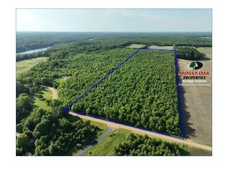4331 Lake Chapin Rd, Berrien Township, MI 49103