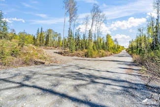 25275 W Susitna Pkwy, Wasilla, AK 99652