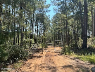 0 Charlie Rhodus Rd, Magnolia, MS 39652