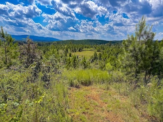 0 Old Piedmont Gadsden Hwy, Piedmont, AL 36272