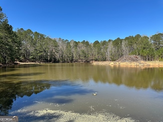 164 ACRES Carl Mathis Rd, Talbotton, GA 31827