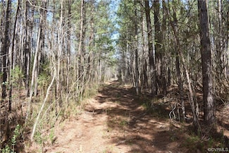 0 Lewis Tyler Lane (Rt 620) Ave Unit 2304681, Charles City, VA 23030