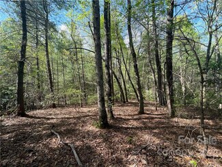 103 Maple Hill Dr Unit 54, Flat Rock, NC 28731