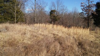 129 Copperhead Ln, Bruner, MO 65620