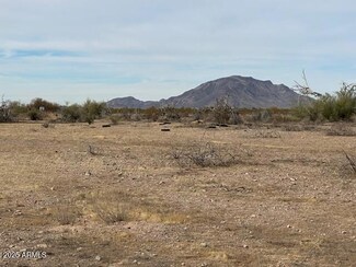 2X N 423rd Ave Unit 342, Tonopah, AZ 85354