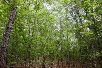 00 Beagle Dr, Clinton, SC 29325
